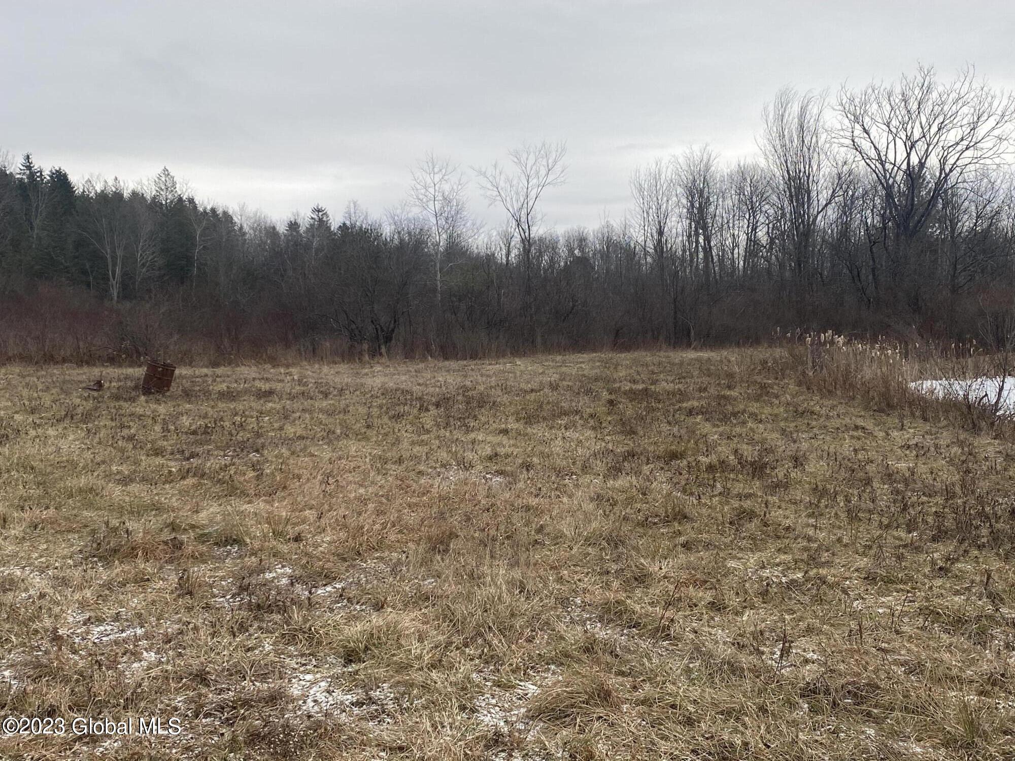 187 Dopp Road Root, NY 12166 - Photo 5 of 20 IMG_2205