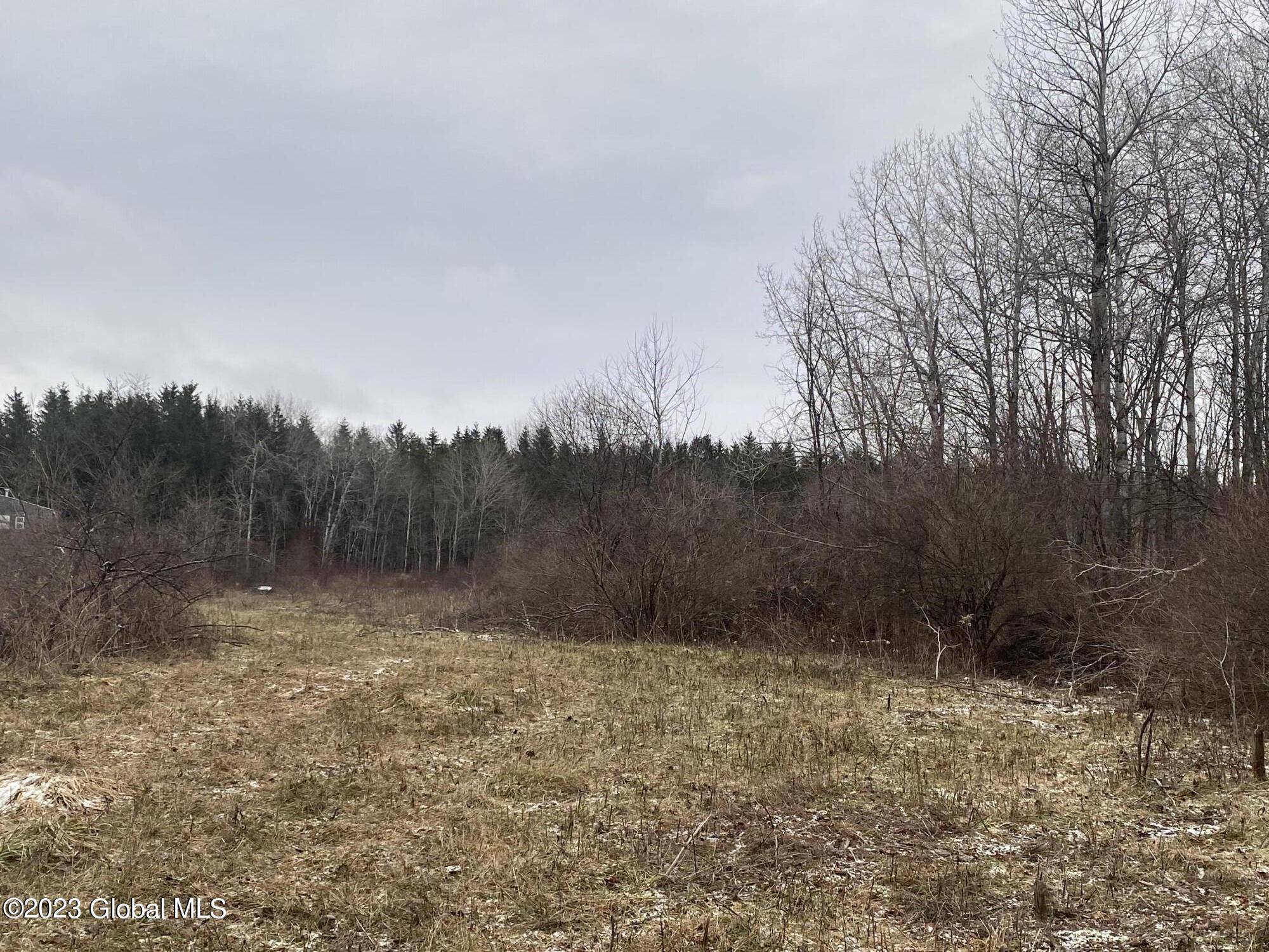 187 Dopp Road Root, NY 12166 - Photo 9 of 20 IMG_2217