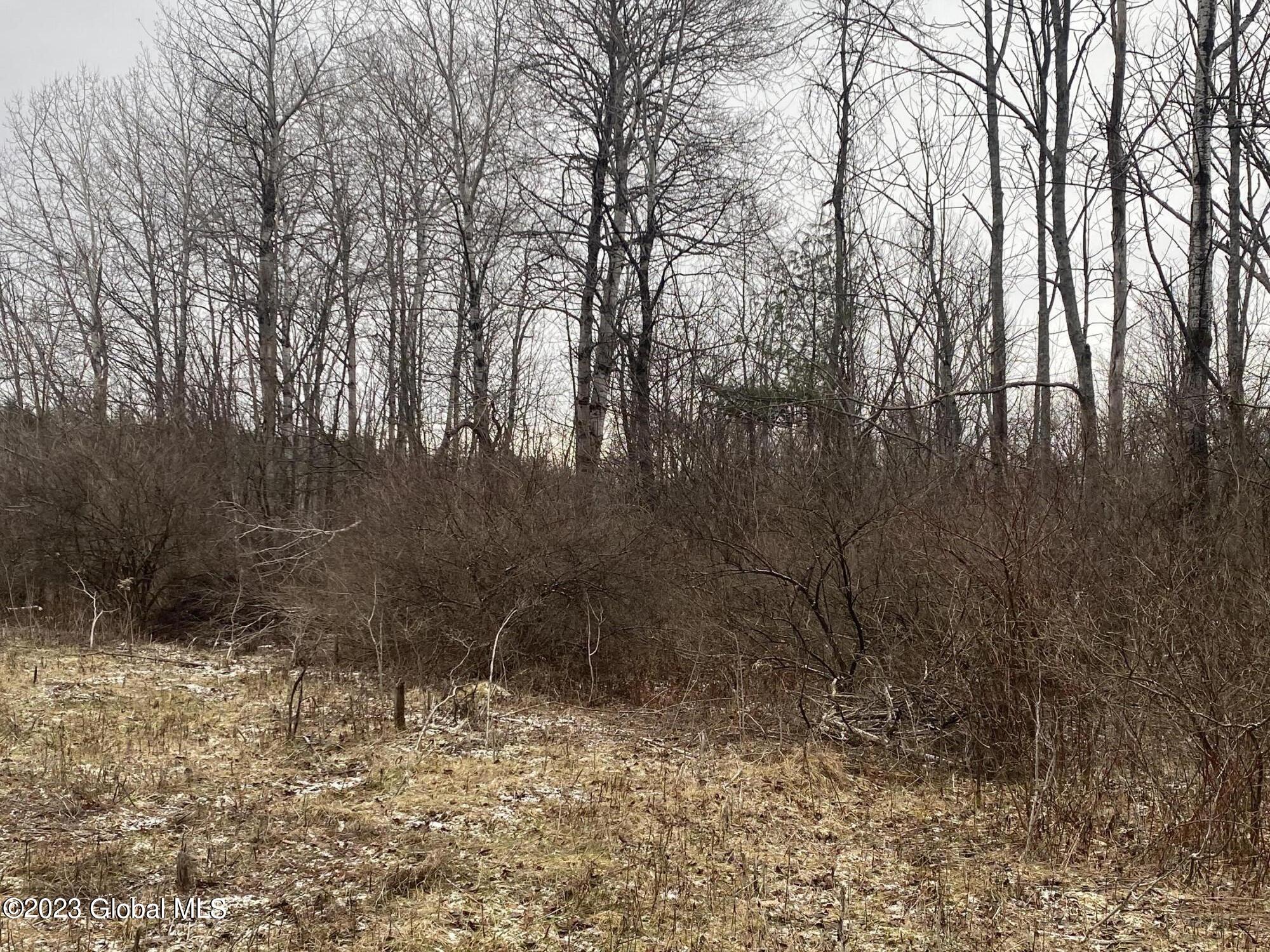 187 Dopp Road Root, NY 12166 - Photo 10 of 20 IMG_2218