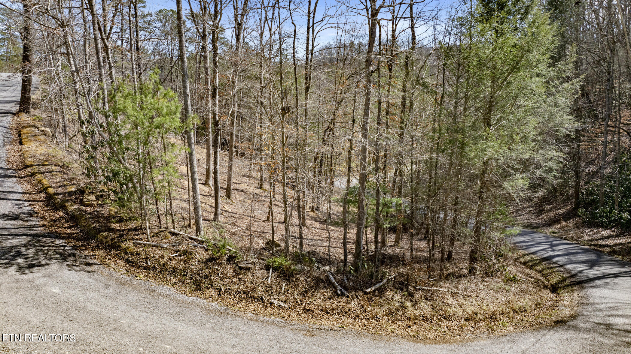 272 Cove Hollow Road Cosby, TN 37722 - Photo 4 of 17 COVE HOLLOW 2