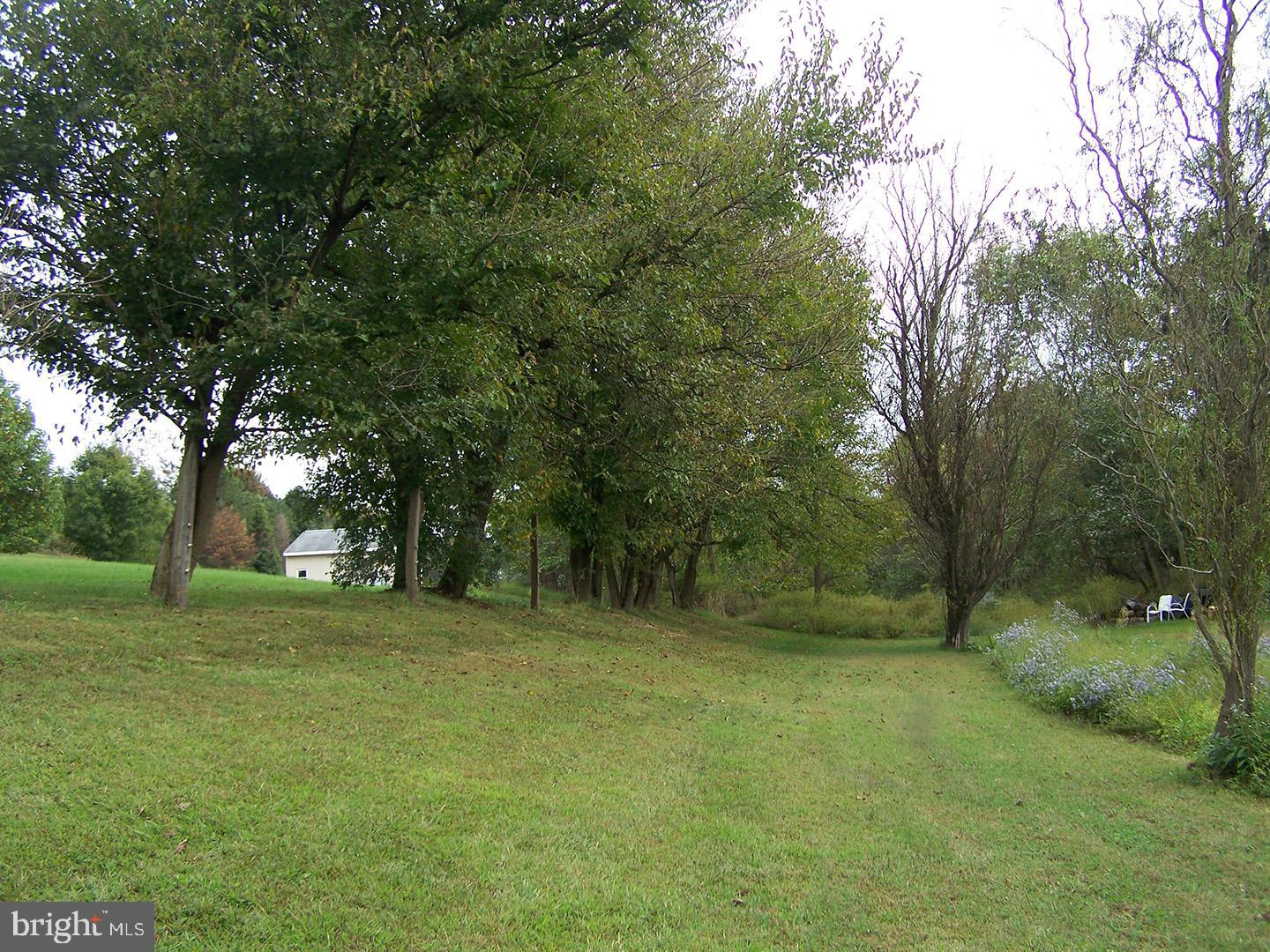 353 Rake Road Mohrsville, PA 19541 - Photo 20 of 22 property /tree line