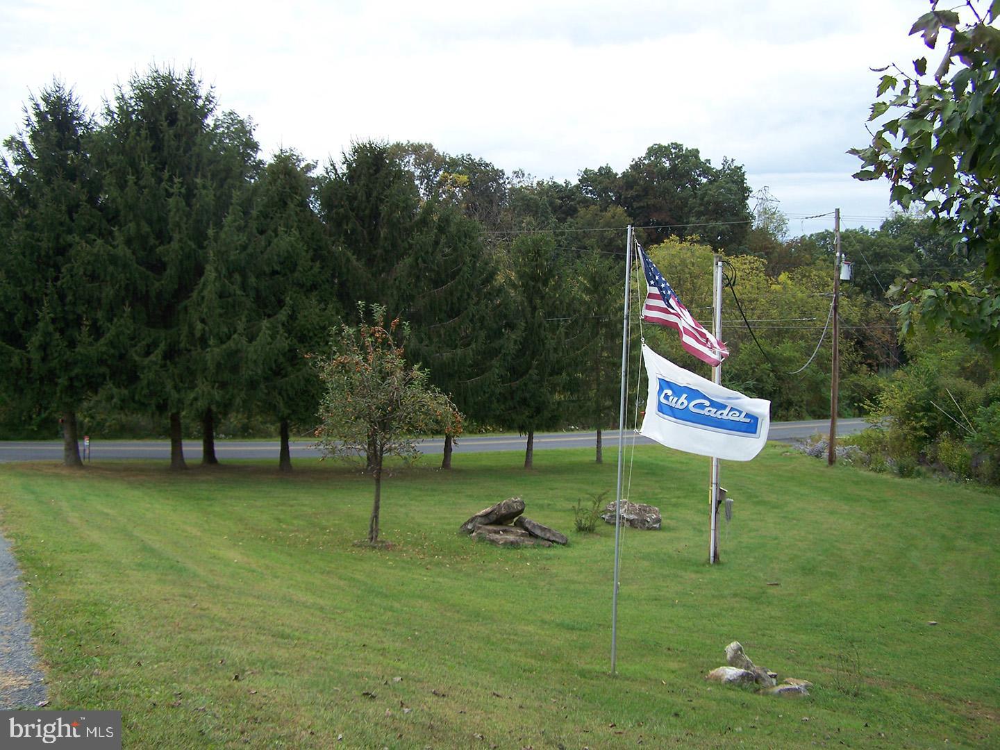 353 Rake Road Mohrsville, PA 19541 - Photo 21 of 22 front yard
