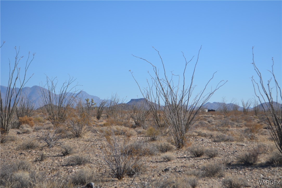 245-24-107 South Rainbow Road Yucca, AZ 86438 - Photo 15 of 91