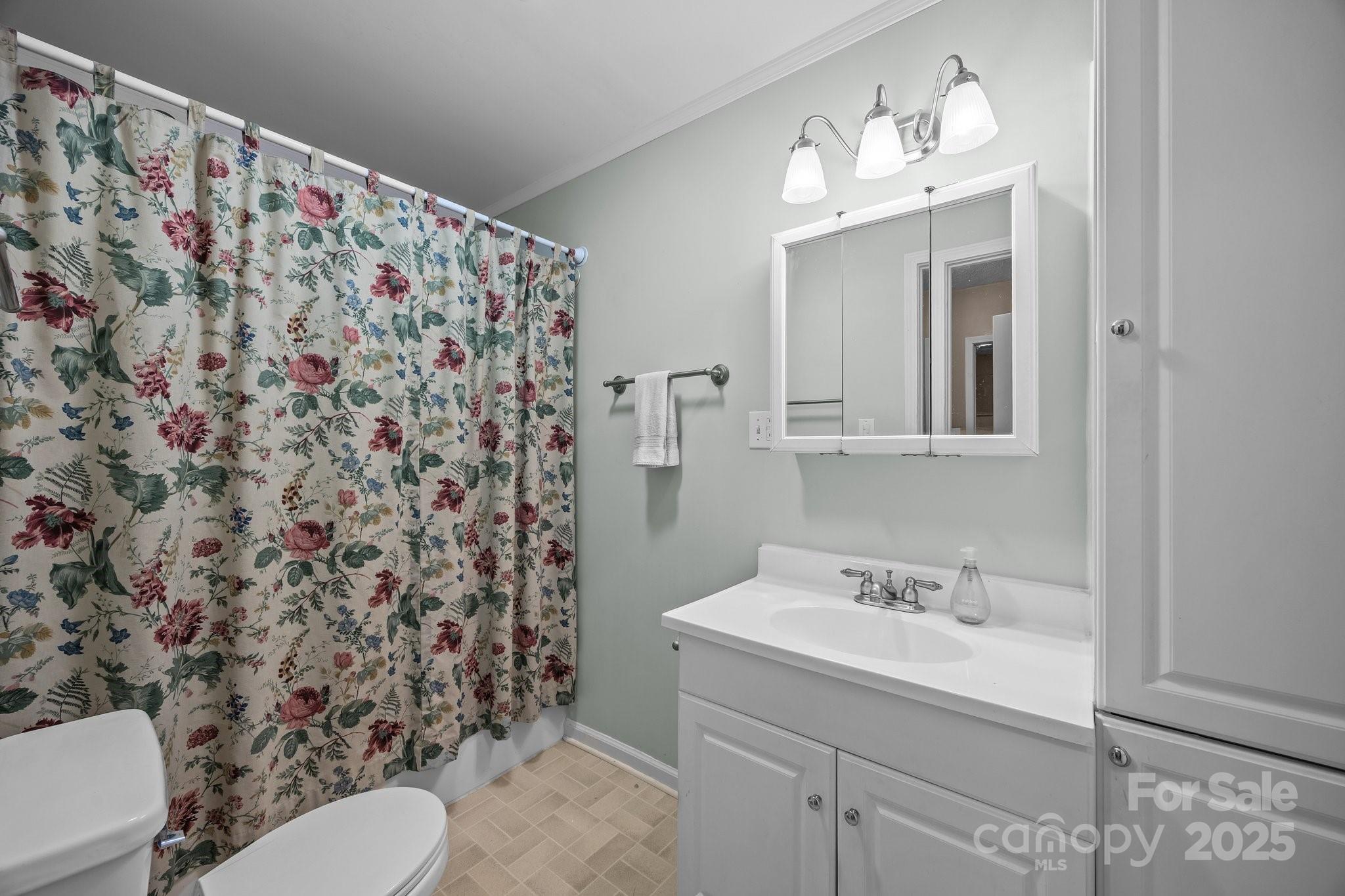 64 Christopher Lane Sylva, NC 28779 - Photo 30 of 31 a bathroom with a sink mirror and toilet