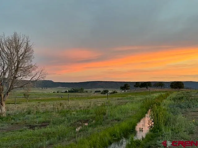 a view of a field with a house in background
