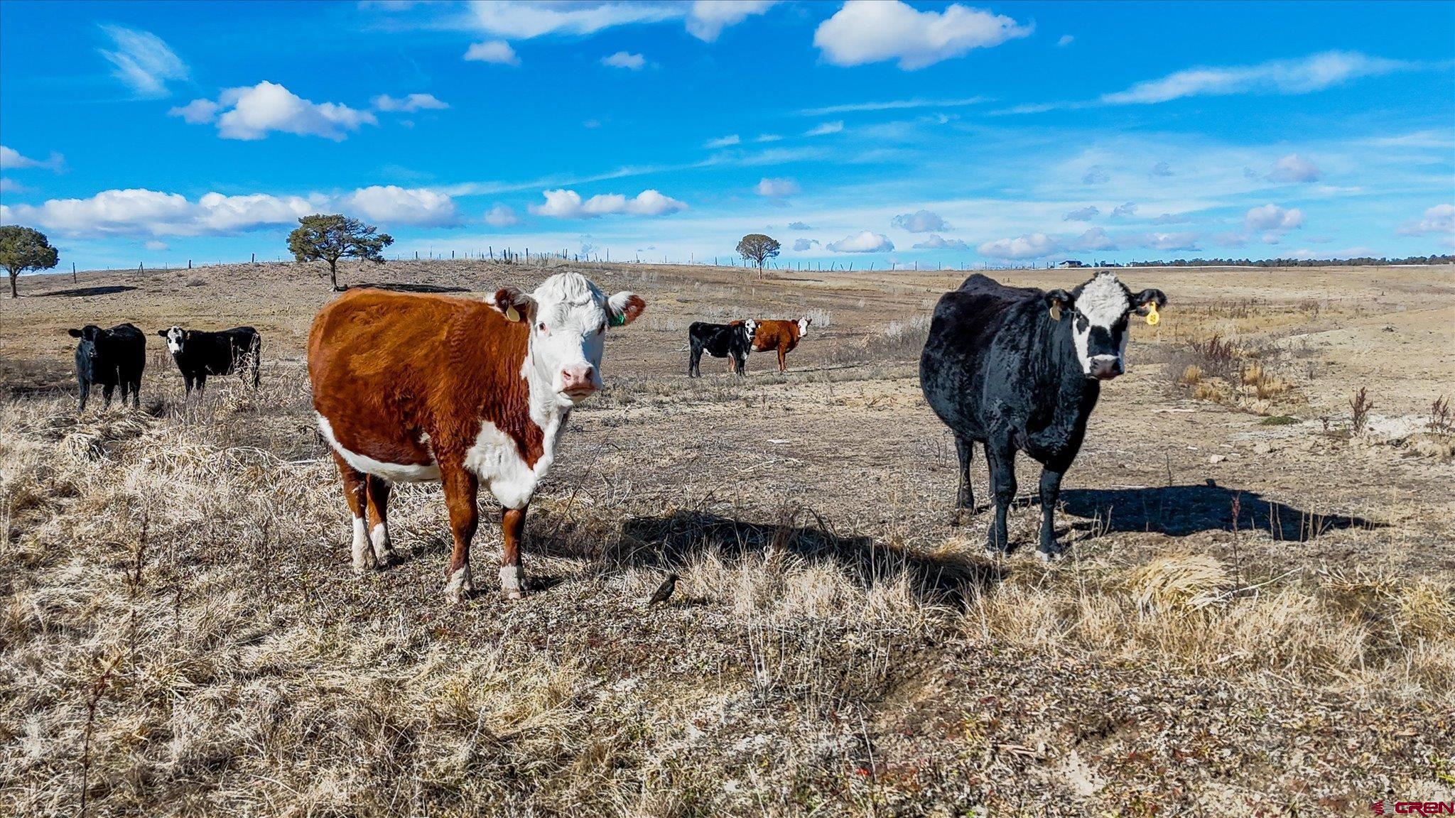 1966 County Road 321 Ignacio, CO 81137 - Photo 22 of 26 a view of roof with sitting area