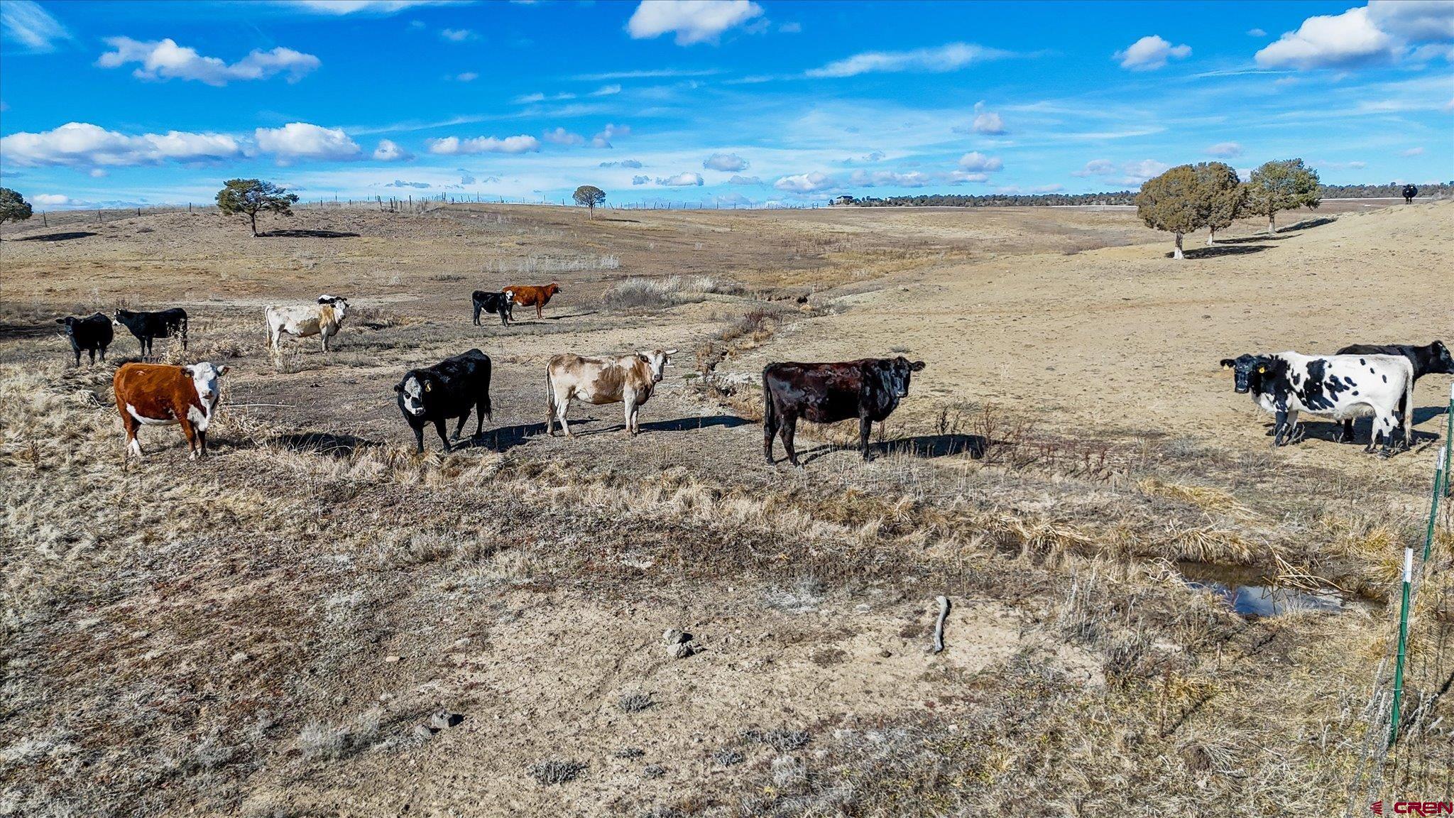 1966 County Road 321 Ignacio, CO 81137 - Photo 24 of 26 a view of a terrace with chairs