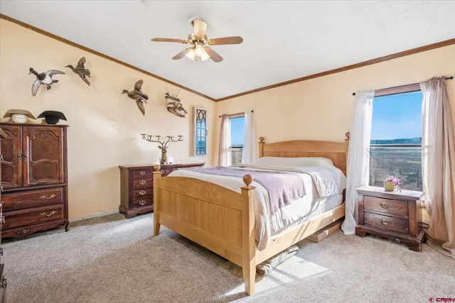 a spacious bedroom with a bed and a chandelier