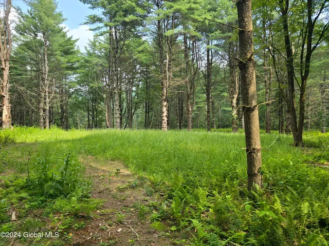 $120,000 | 31 Rj Way, Shushan, NY 12873