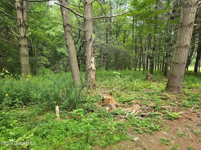 $120,000 | 31 Rj Way, Shushan, NY 12873