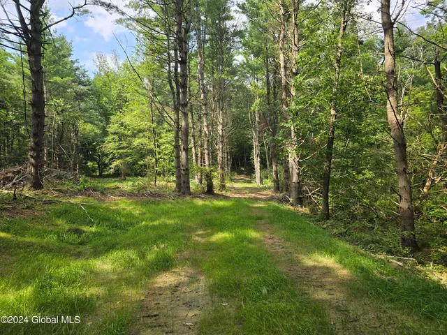 $120,000 | 31 Rj Way, Shushan, NY 12873