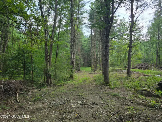 $120,000 | 31 Rj Way, Shushan, NY 12873