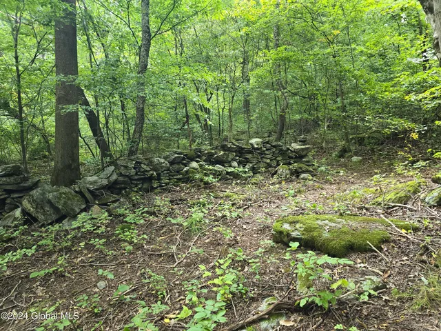 $120,000 | 31 Rj Way, Shushan, NY 12873