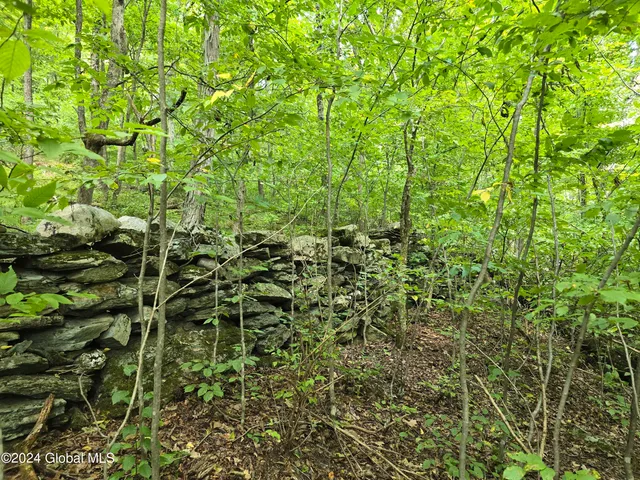 $120,000 | 31 Rj Way, Shushan, NY 12873