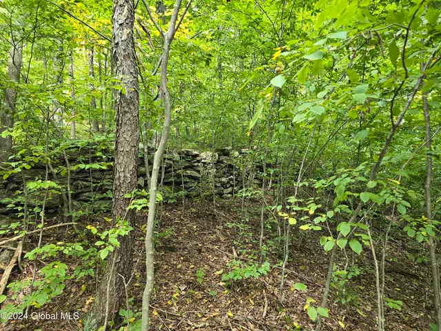 $120,000 | 31 Rj Way, Shushan, NY 12873