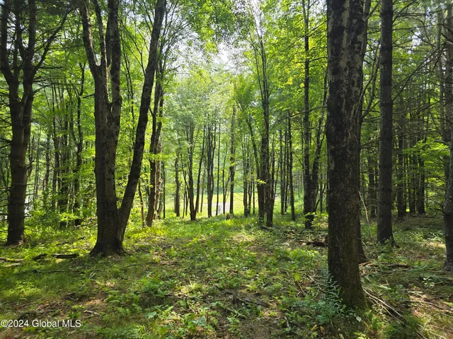 $120,000 | 31 Rj Way, Shushan, NY 12873