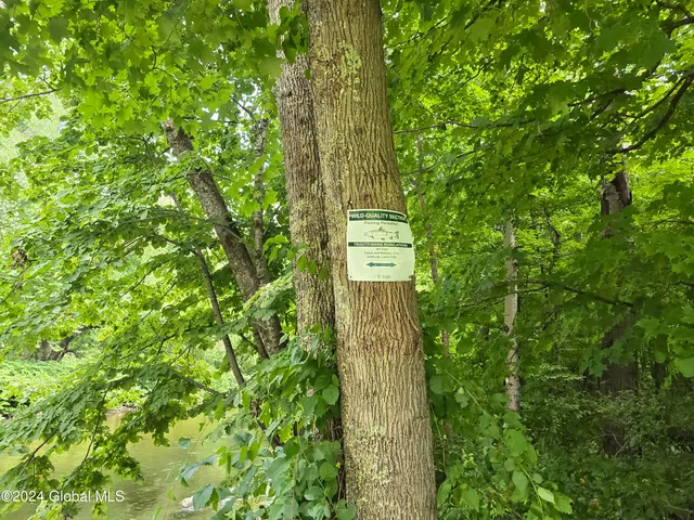 $120,000 | 31 Rj Way, Shushan, NY 12873