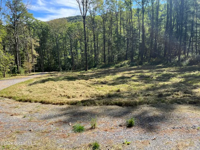 $120,000 | 31 Rj Way, Shushan, NY 12873