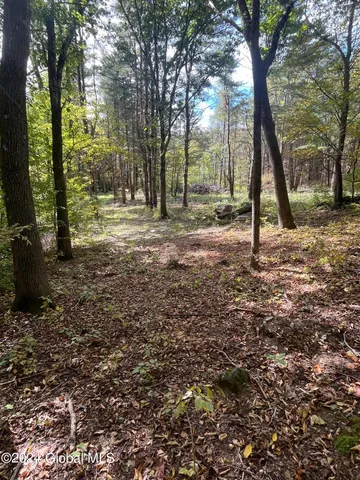 $120,000 | 31 Rj Way, Shushan, NY 12873