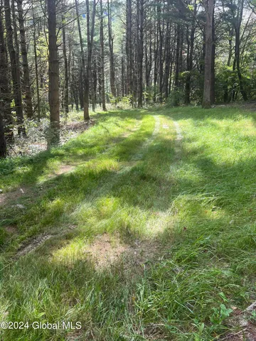 $120,000 | 31 Rj Way, Shushan, NY 12873