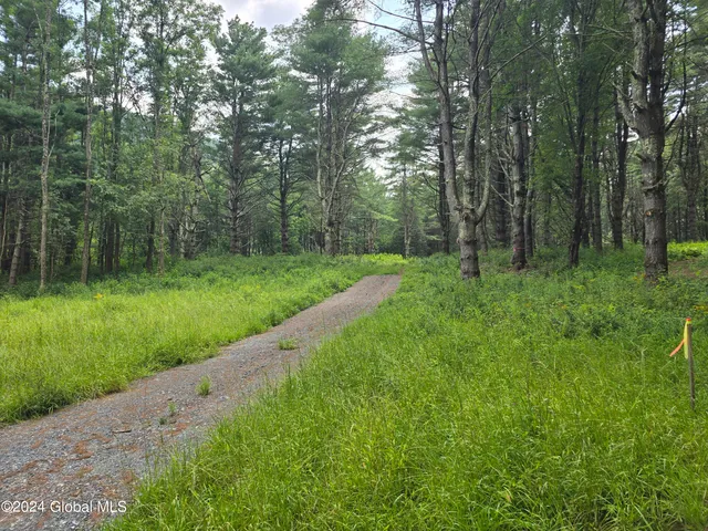 $120,000 | 31 Rj Way, Shushan, NY 12873