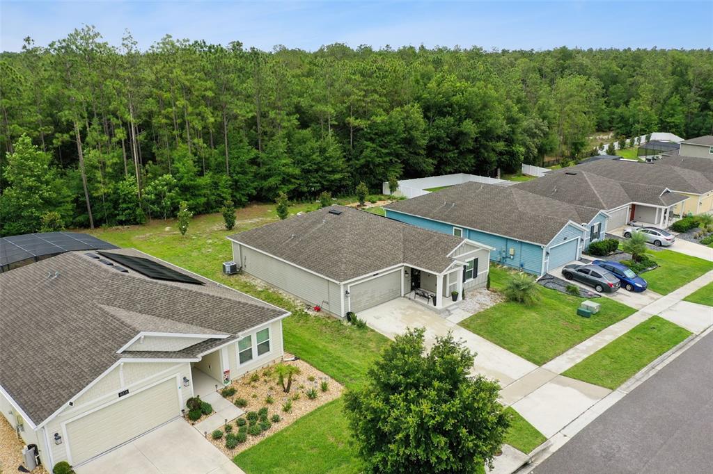 4810 Magnetite Loop Mount Mount Dora, FL 32757 - Photo 49 of 67