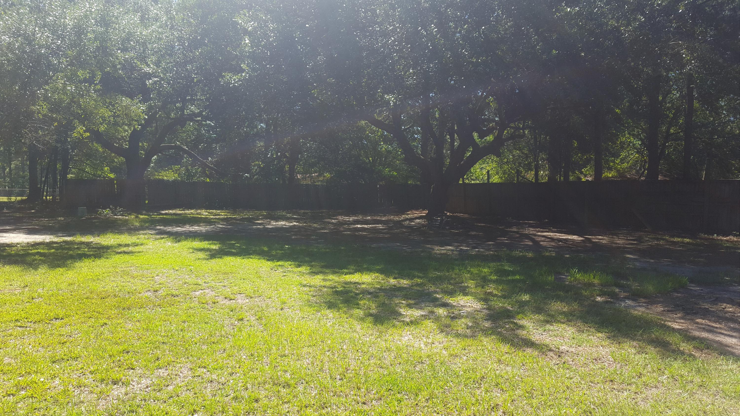 358 Compton Drive Moncks Corner, SC 29461 - Photo 53 of 63 Yard (2)