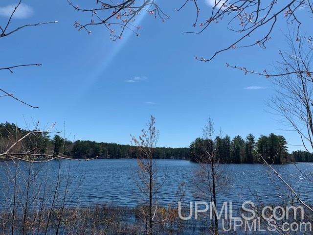 Lot 5 West Lost Lake Road Wetmore, MI 49862 - Photo 6 of 12