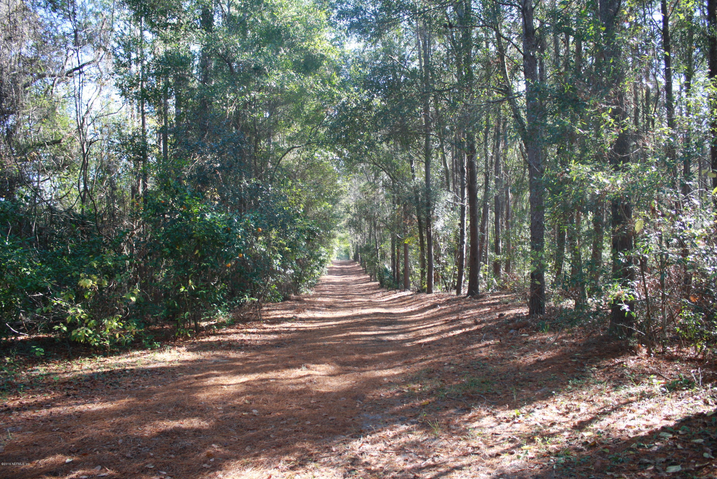 301 Georgetown Shortcut Road Crescent City, FL 32112 - Photo 12 of 108 IMG_2859