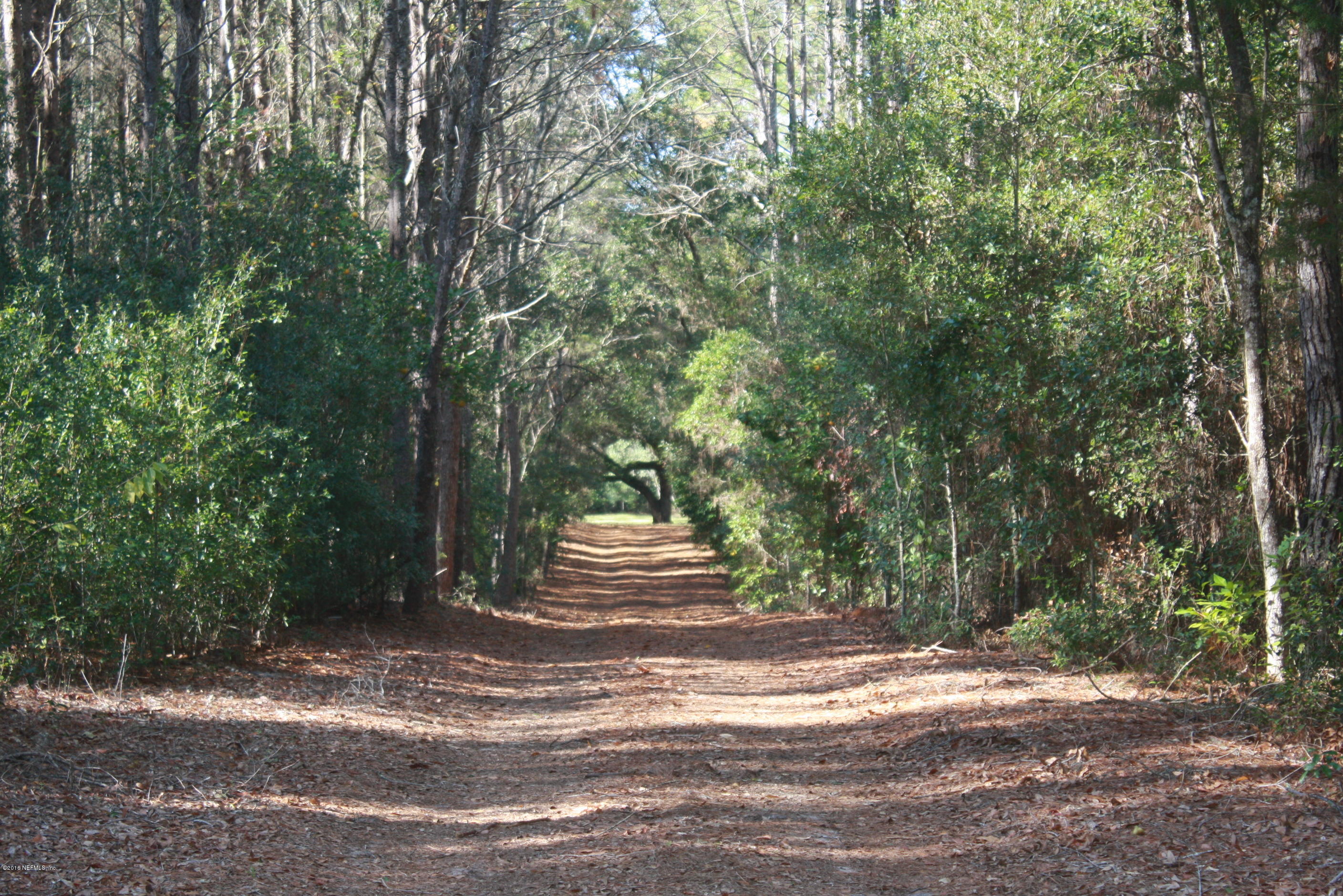 301 Georgetown Shortcut Road Crescent City, FL 32112 - Photo 13 of 108 a view of a yard with large trees