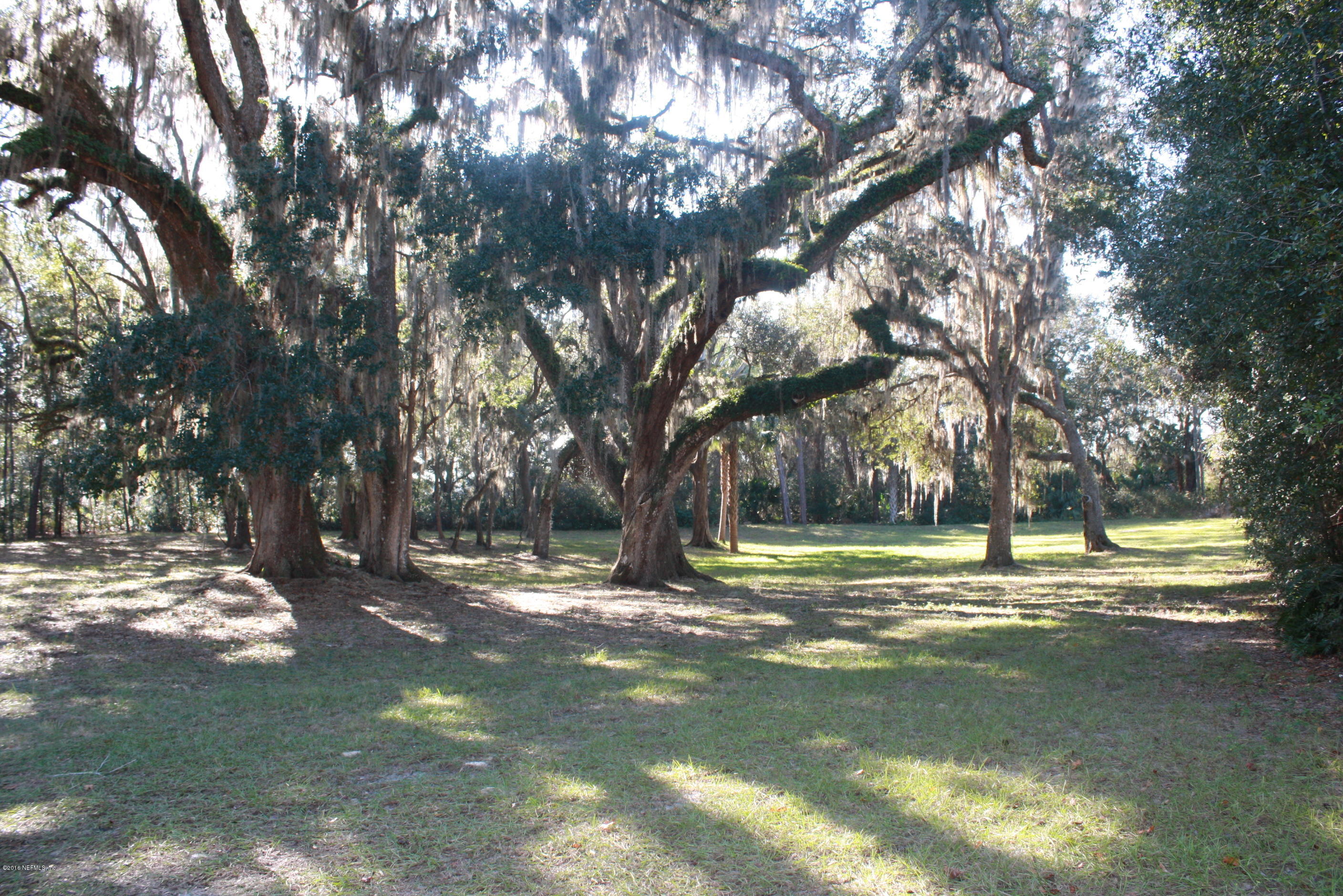 301 Georgetown Shortcut Road Crescent City, FL 32112 - Photo 14 of 108 a view of a yard with large trees