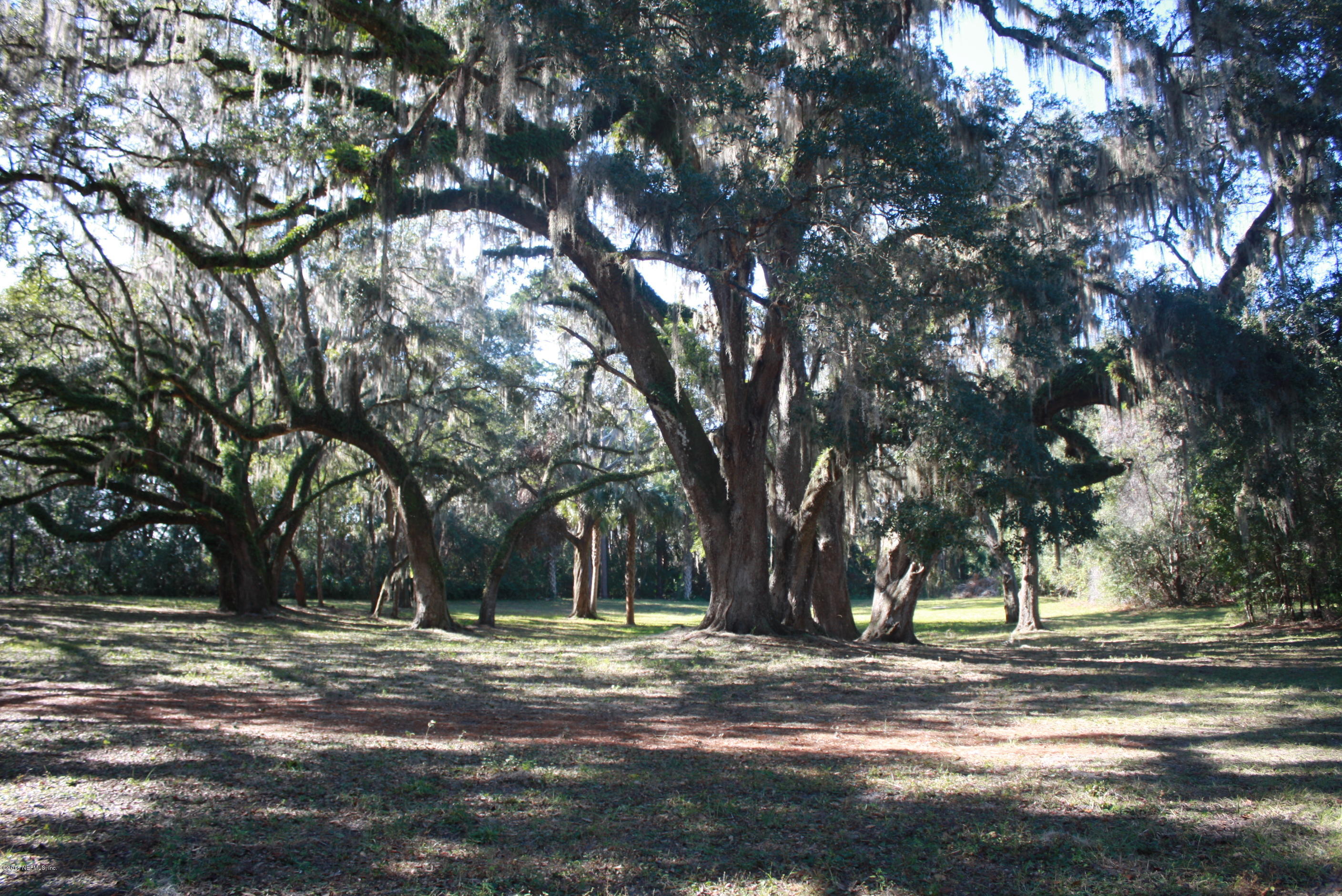 301 Georgetown Shortcut Road Crescent City, FL 32112 - Photo 15 of 108 a view of outdoor space with trees