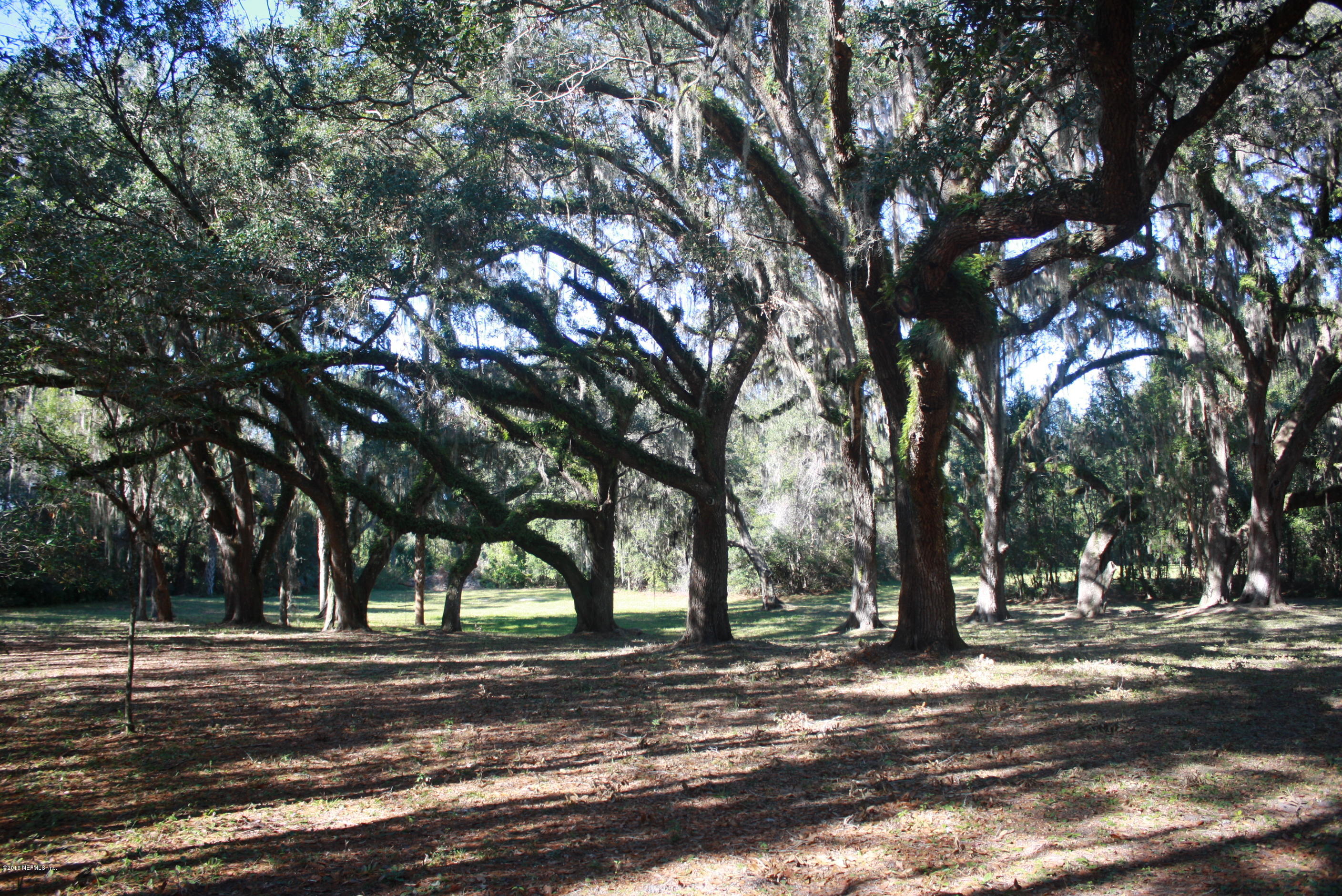301 Georgetown Shortcut Road Crescent City, FL 32112 - Photo 18 of 108 a view of a yard with a trees