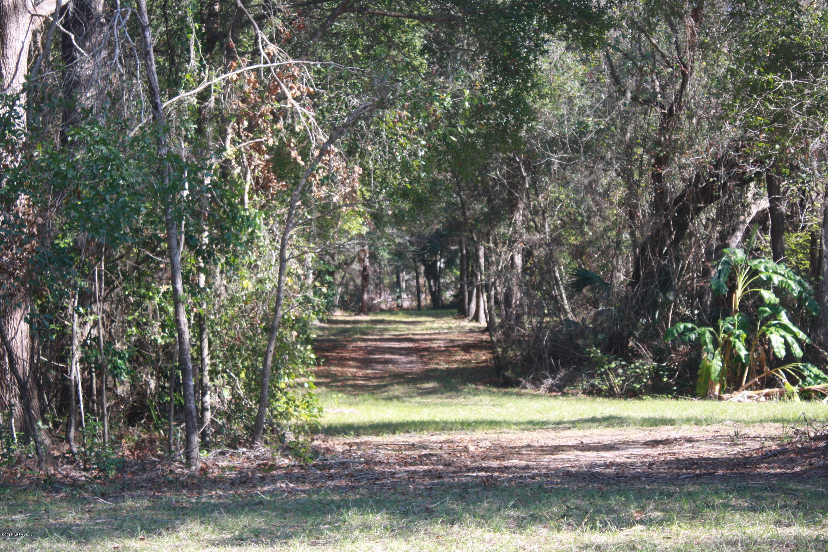 301 Georgetown Shortcut Road Crescent City, FL 32112 - Photo 31 of 108 a view of a tree in a yard