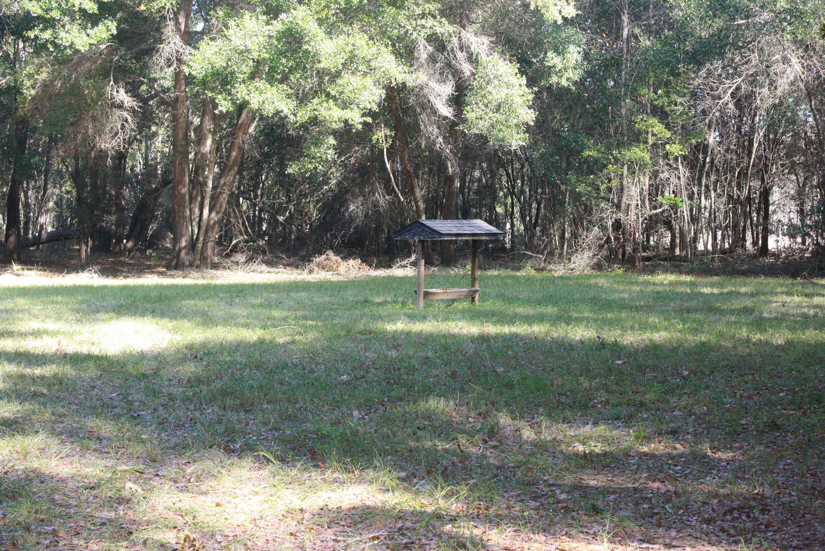 301 Georgetown Shortcut Road Crescent City, FL 32112 - Photo 33 of 108 a view of a park