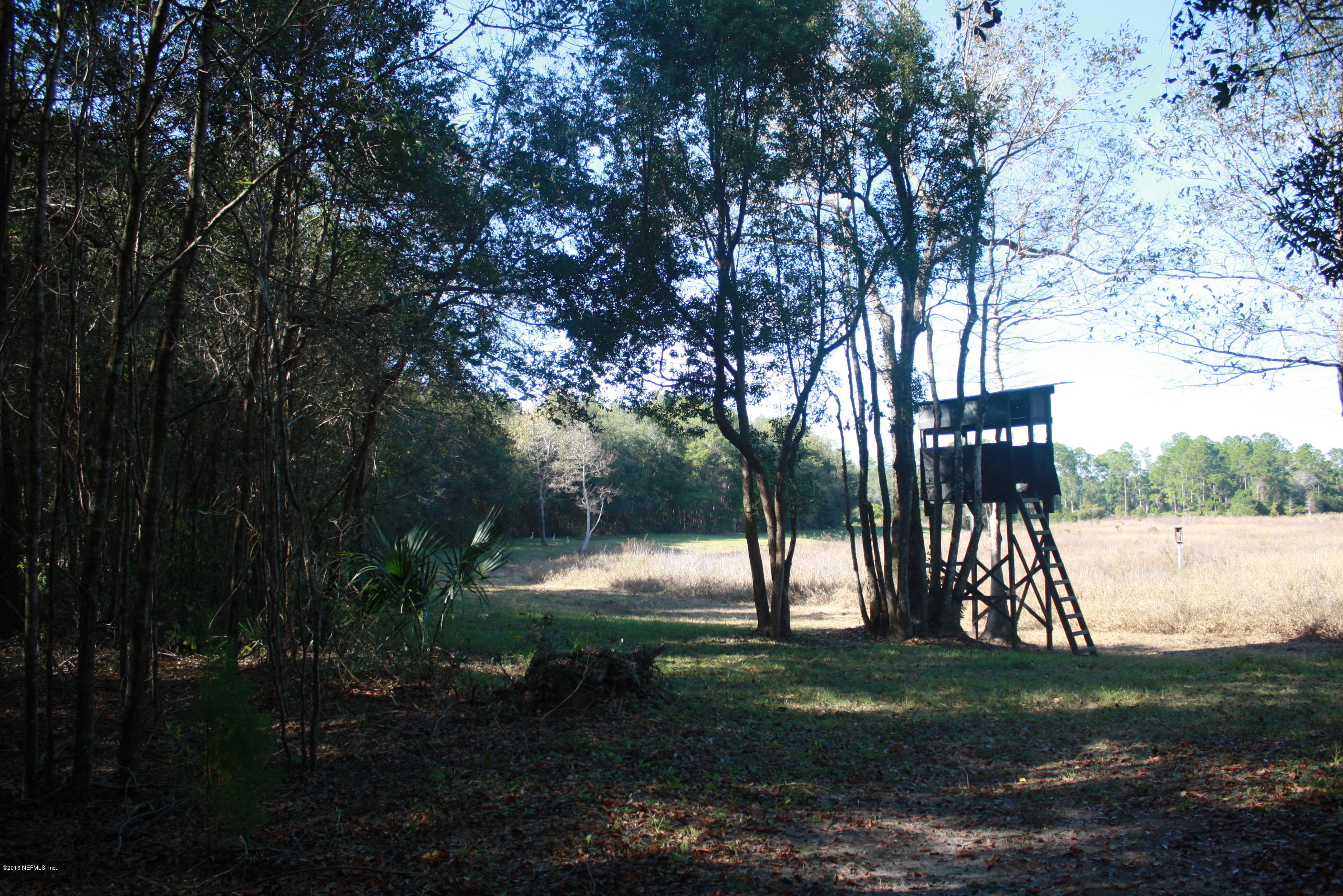 301 Georgetown Shortcut Road Crescent City, FL 32112 - Photo 34 of 108 IMG_2891