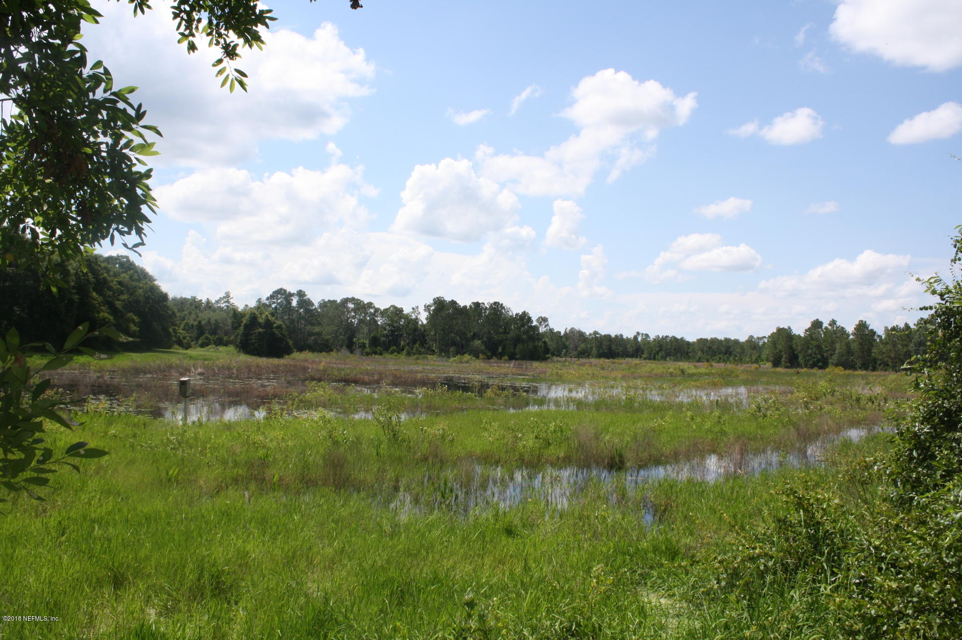 301 Georgetown Shortcut Road Crescent City, FL 32112 - Photo 35 of 108 a view of lake with green space