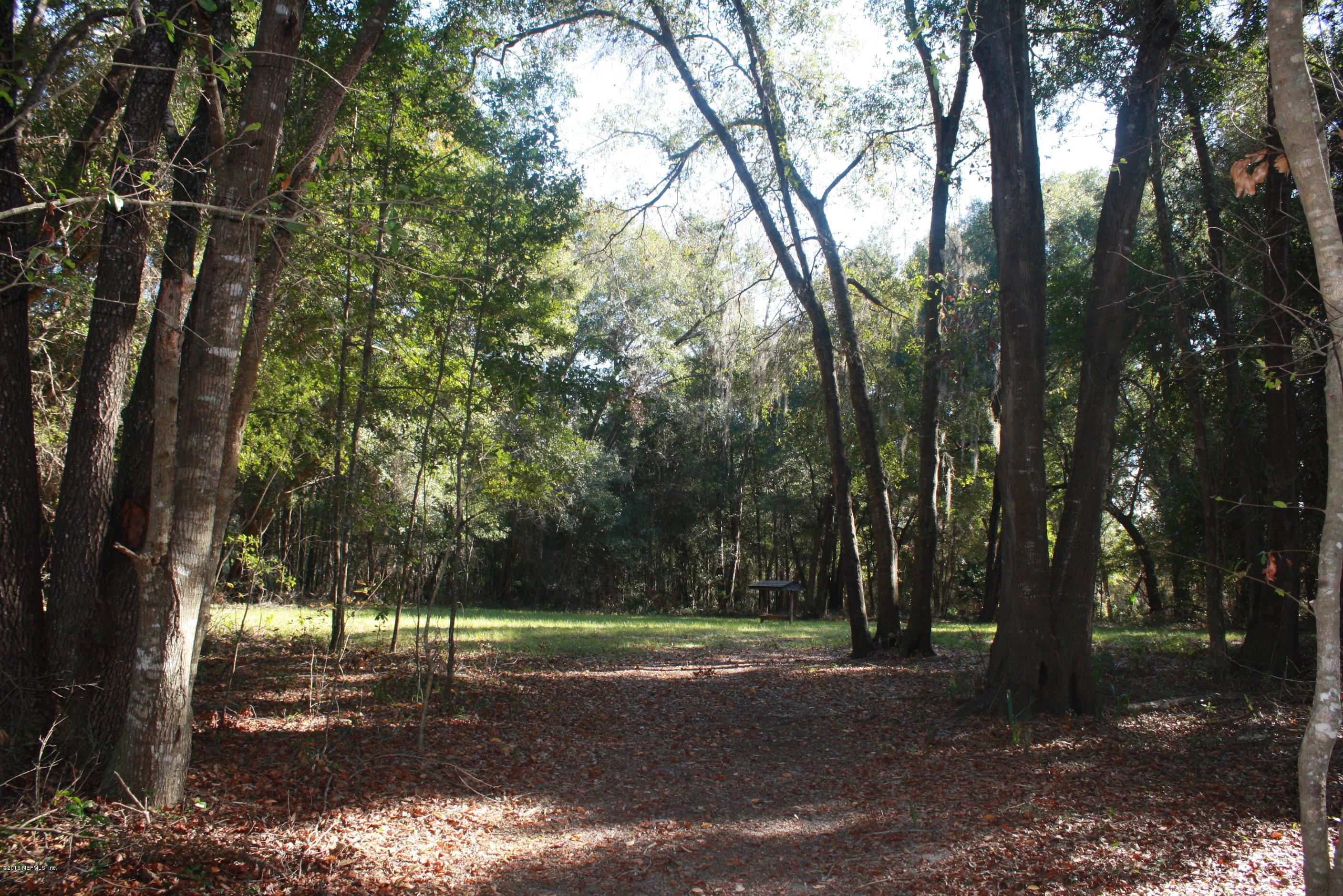 301 Georgetown Shortcut Road Crescent City, FL 32112 - Photo 36 of 108 a view of a yard with a tree