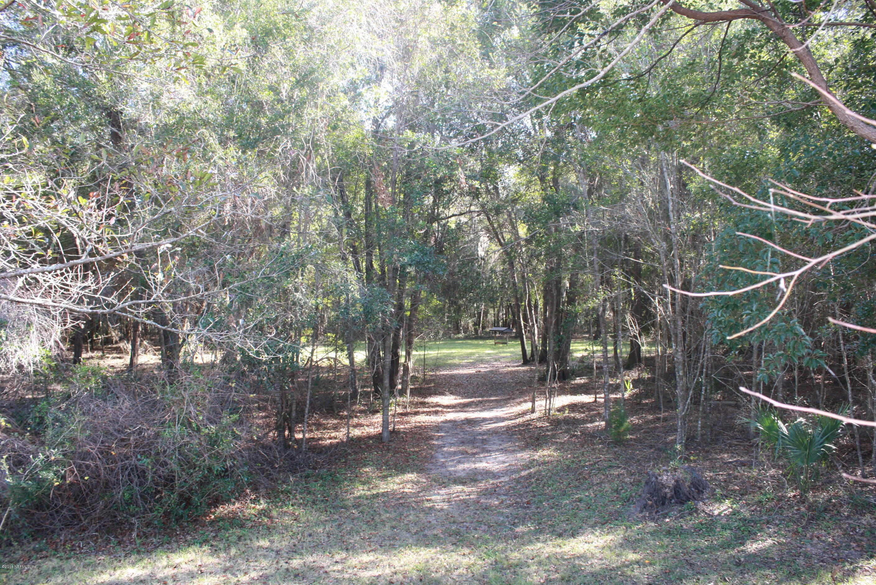 301 Georgetown Shortcut Road Crescent City, FL 32112 - Photo 37 of 108 a view of a forest with trees