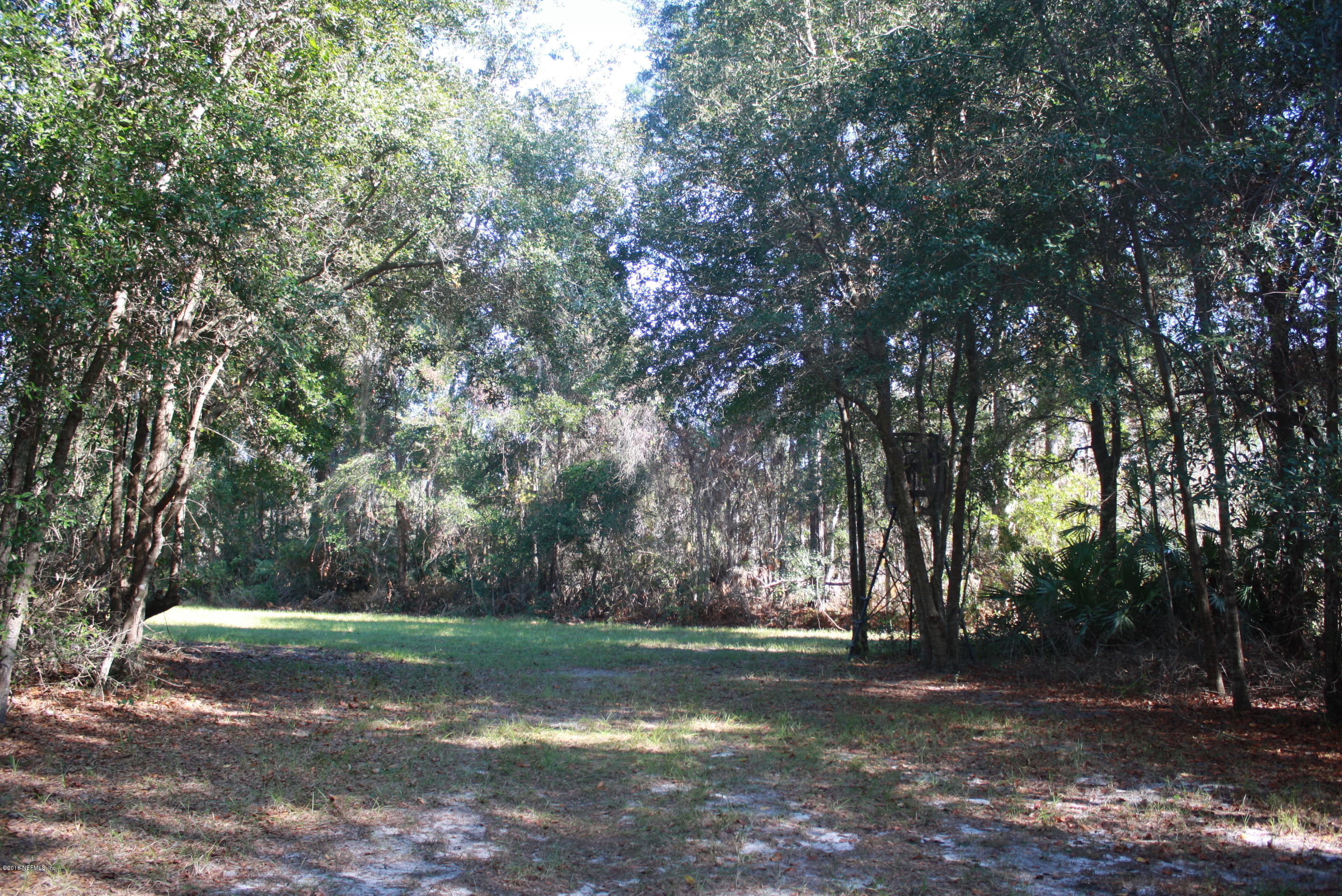 301 Georgetown Shortcut Road Crescent City, FL 32112 - Photo 43 of 108 a view of a tree in the middle of a yard