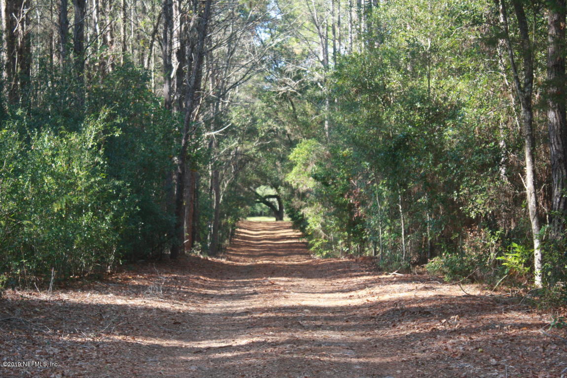 301 Georgetown Shortcut Road Crescent City, FL 32112 - Photo 92 of 108 a view of a yard with large trees