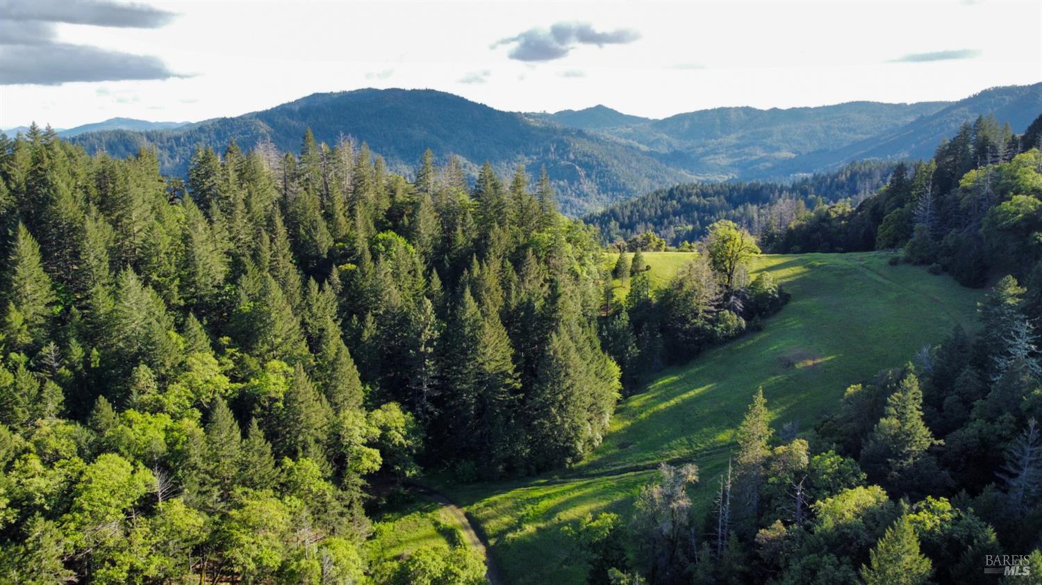 8735 Woodman Creek Road Laytonville, CA 95454 - Photo 1 of 12