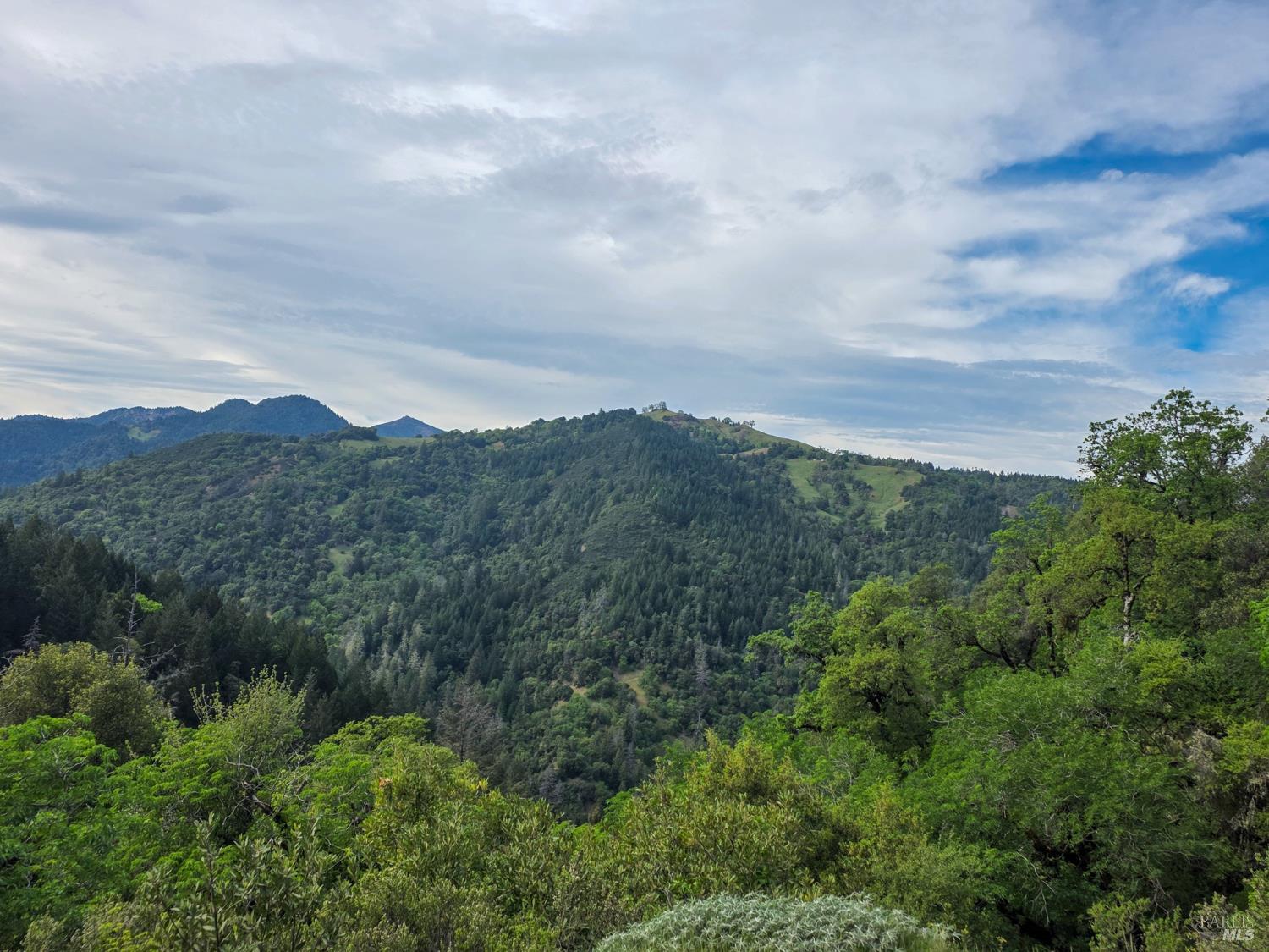 8735 Woodman Creek Road Laytonville, CA 95454 - Photo 12 of 12