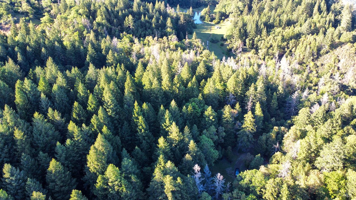 8735 Woodman Creek Road Laytonville, CA 95454 - Photo 4 of 12