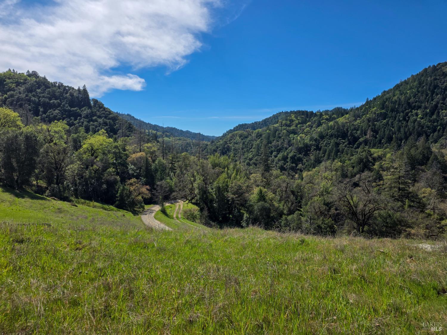 8735 Woodman Creek Road Laytonville, CA 95454 - Photo 8 of 12