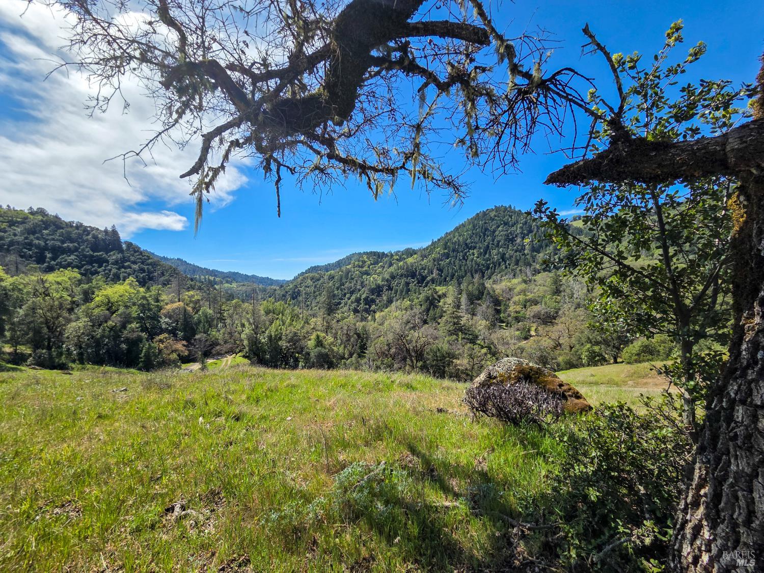 8735 Woodman Creek Road Laytonville, CA 95454 - Photo 9 of 12