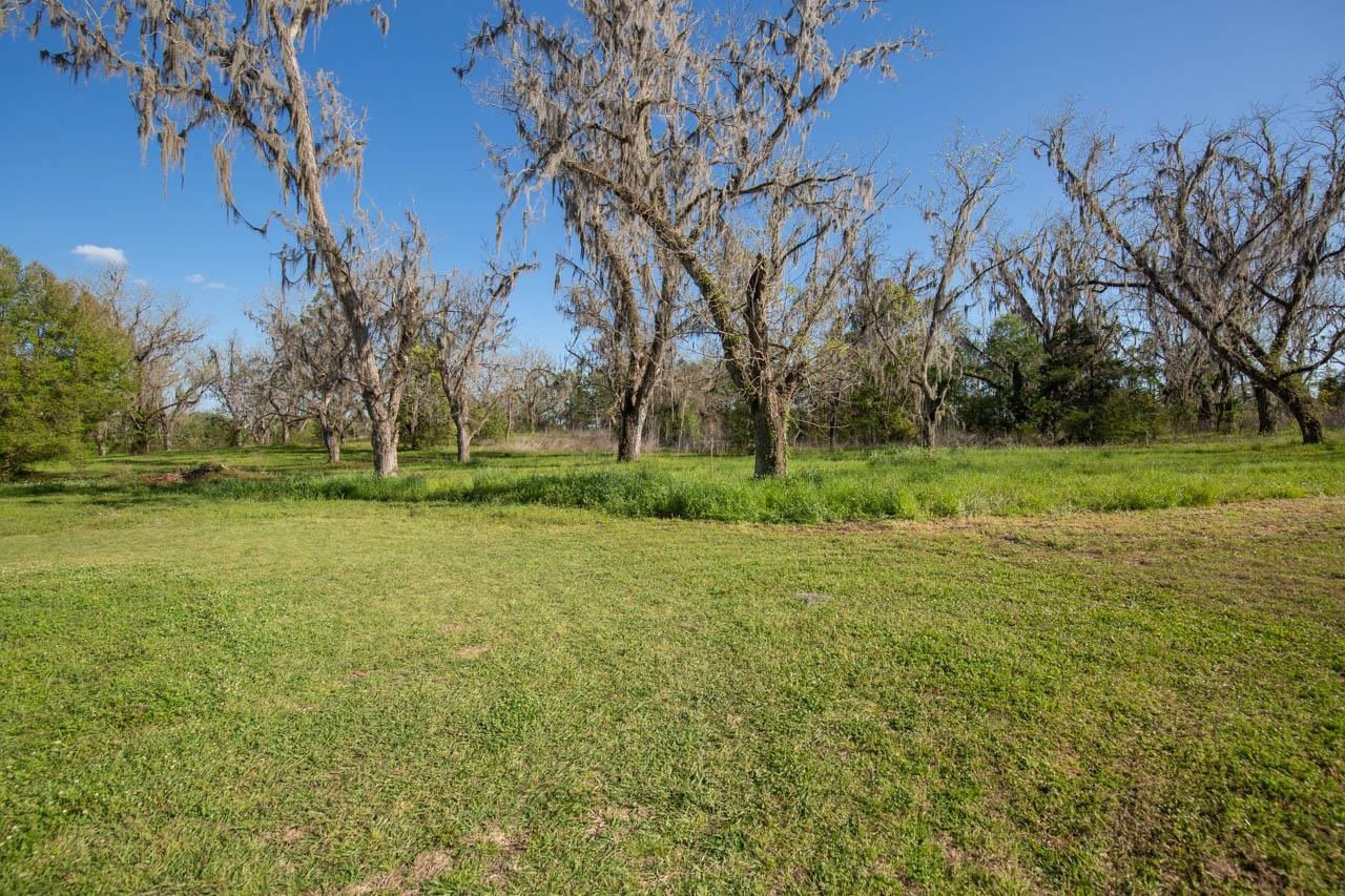 756 Frank Lacy Road Monticello, FL 32344 - Photo 26 of 35