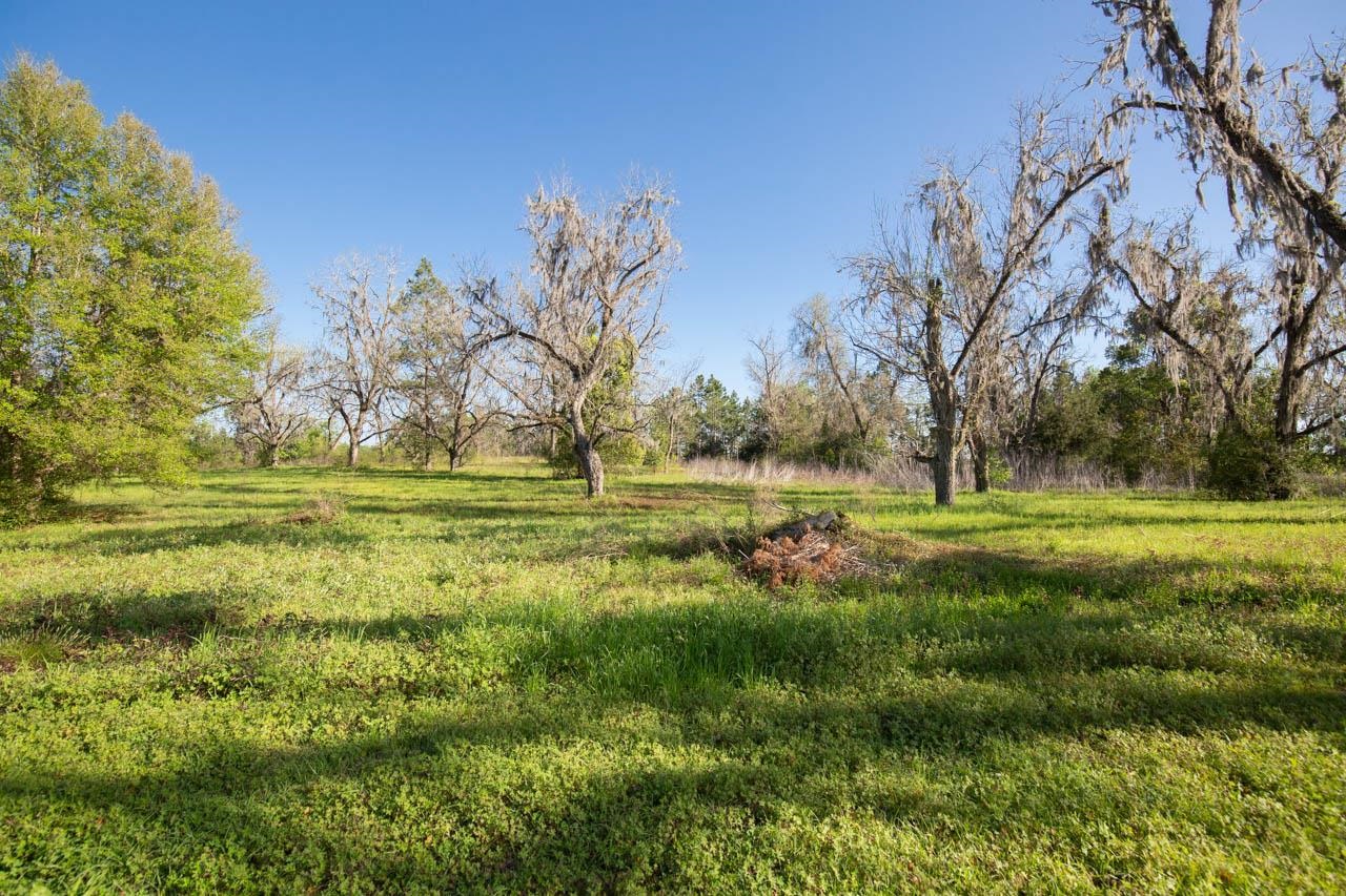 756 Frank Lacy Road Monticello, FL 32344 - Photo 27 of 35
