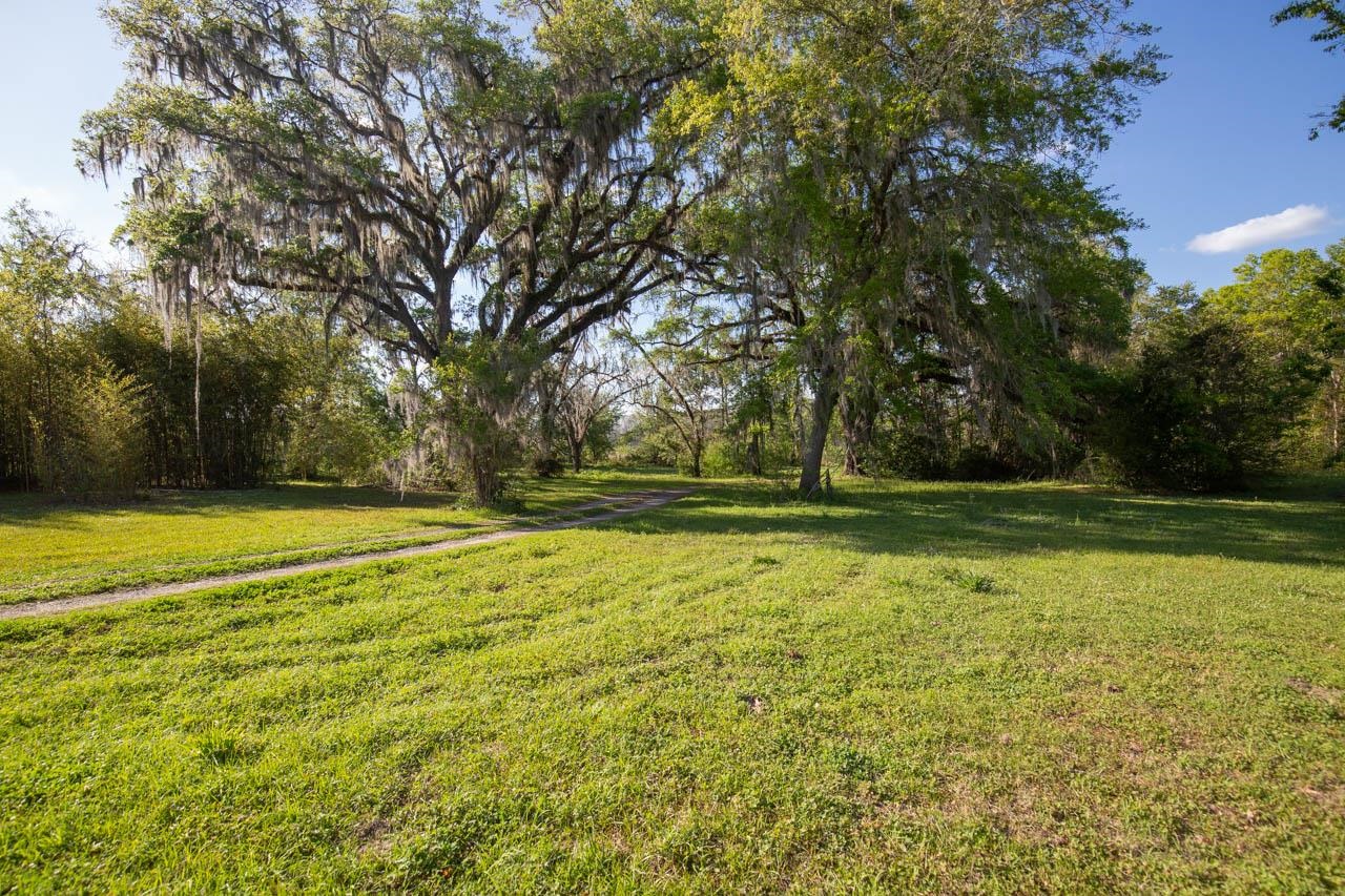 756 Frank Lacy Road Monticello, FL 32344 - Photo 28 of 35