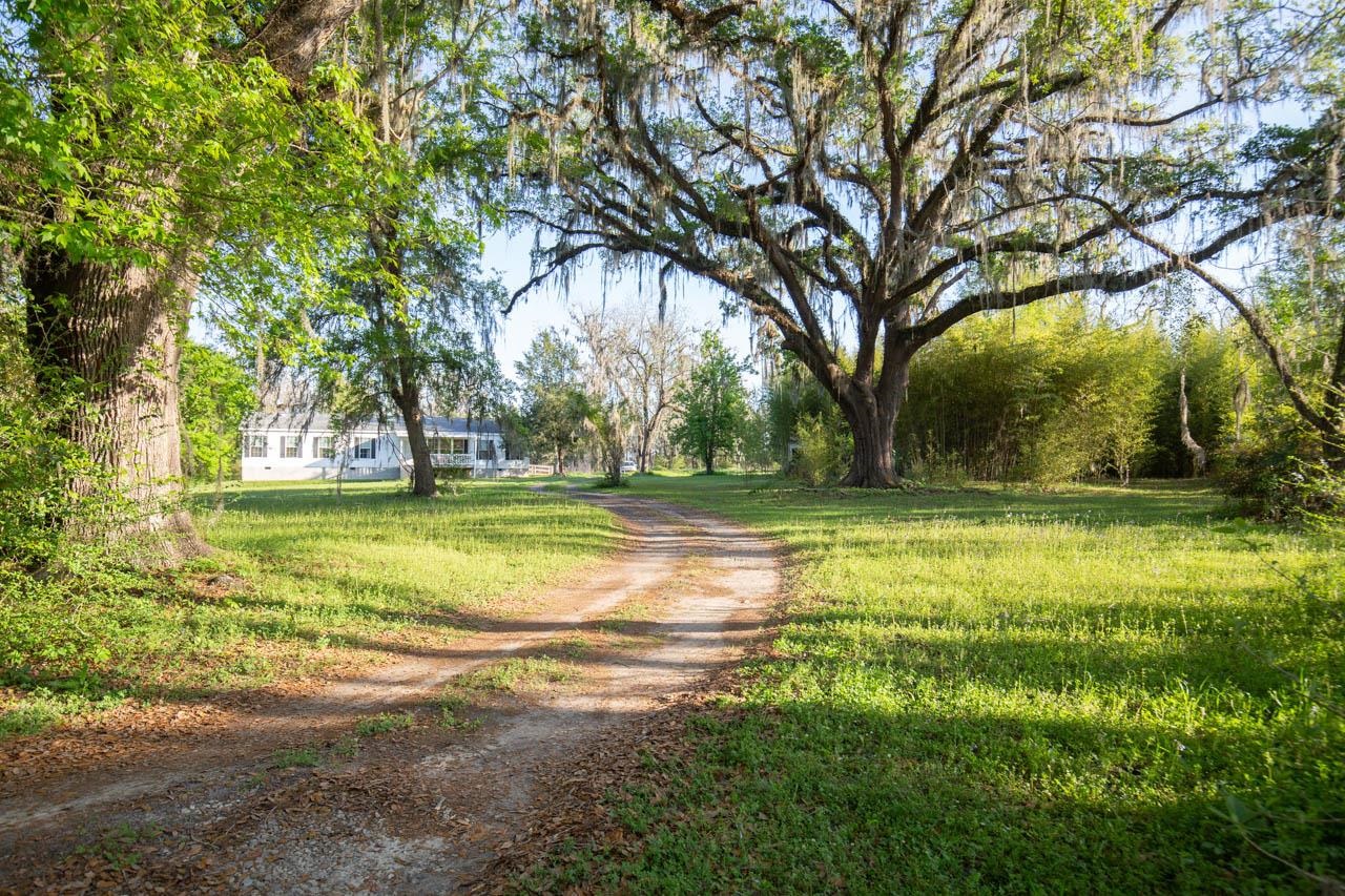 756 Frank Lacy Road Monticello, FL 32344 - Photo 30 of 35